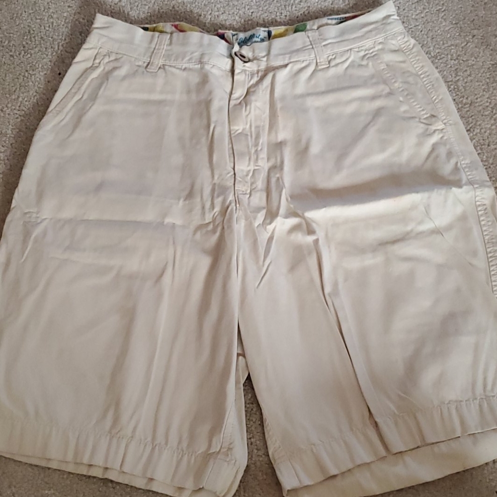 Mens shorts size 30 Hollister